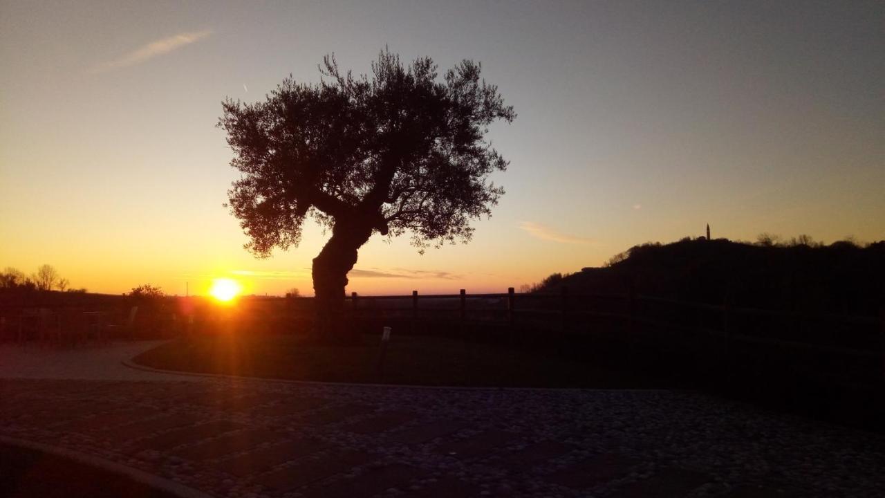 Agriturismo Althea Vittorio Veneto Exteriér fotografie