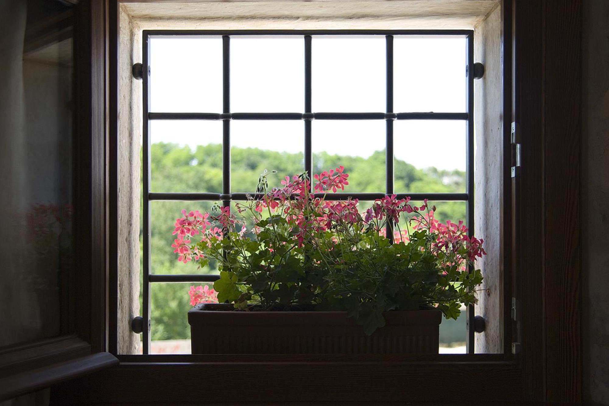 Agriturismo Althea Vittorio Veneto Exteriér fotografie