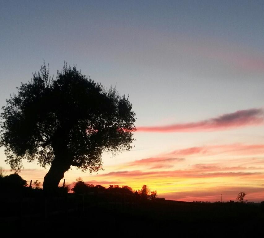 Agriturismo Althea Vittorio Veneto Exteriér fotografie